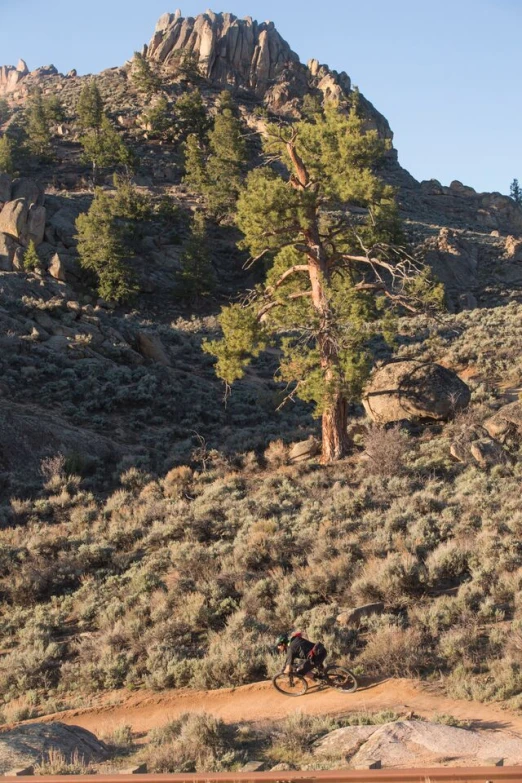 a dirt bike and some rocks grass and trees