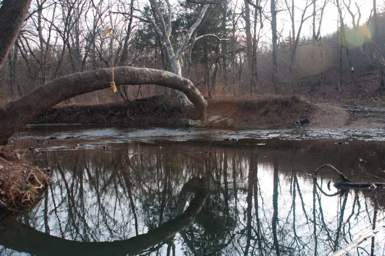 a bridge over the water on a muddy day