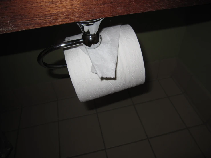 a roll of toilet paper sits on a napkin rack