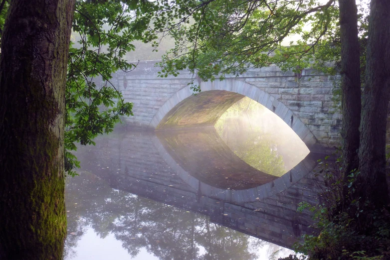 a bridge over a pond in the middle of a forest