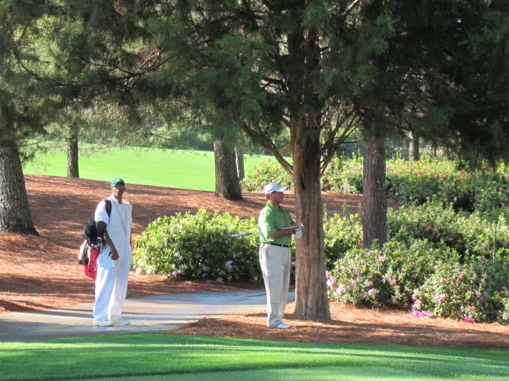 people walking on a sidewalk in front of some trees