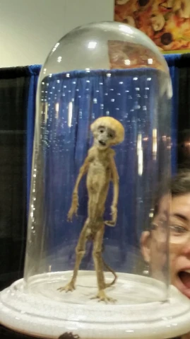 a person looking at a fake alien inside a glass dome