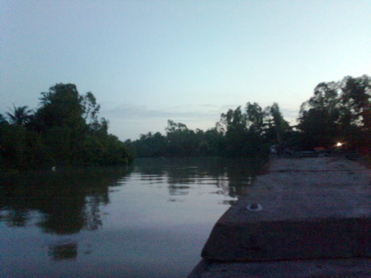 the water is running high at sunset and the sun light shines on the trees