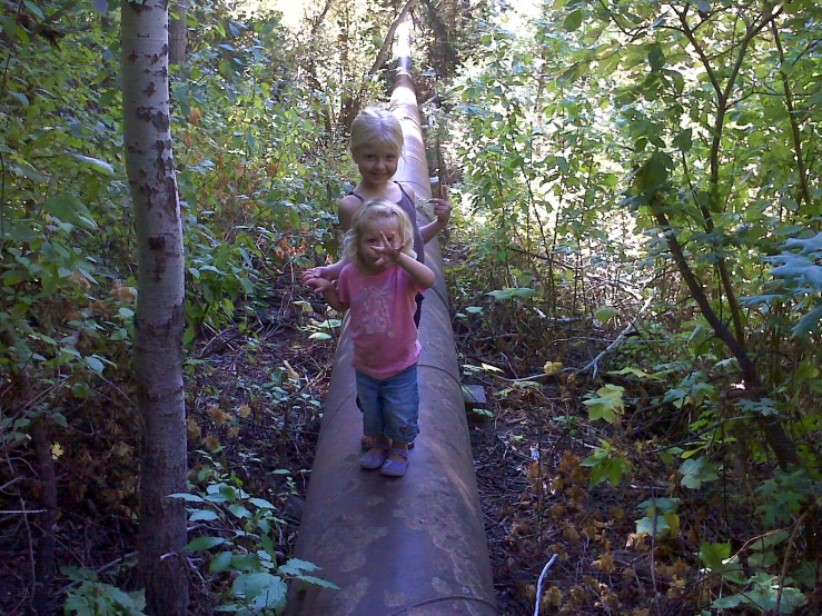 a couple of s are walking over a wooden plank