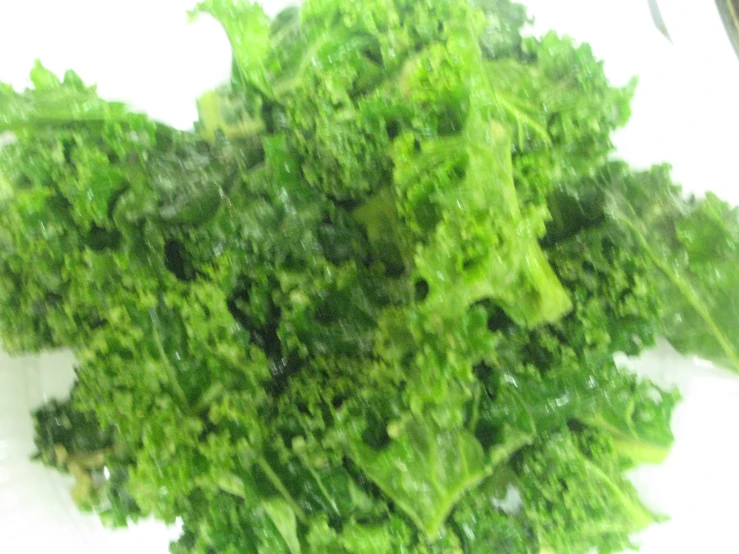 a bunch of leaves of green on a white tablecloth