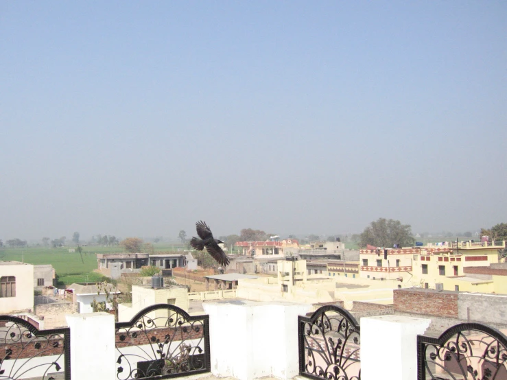 the bird is sitting on top of the fence