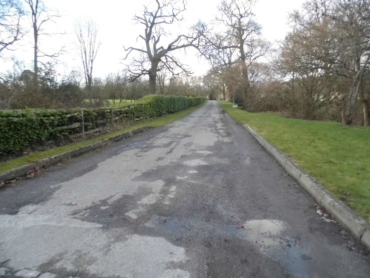 a view down a very wide road near bushes