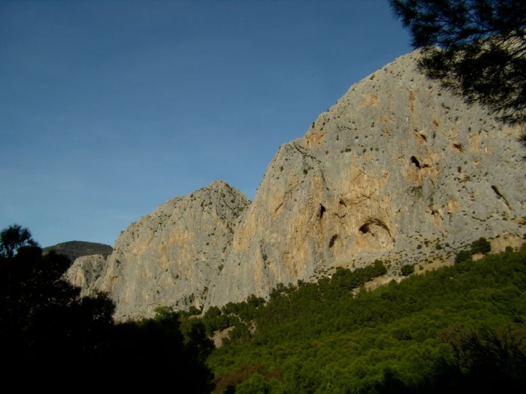 a group of tall rocks on top of a lush green field