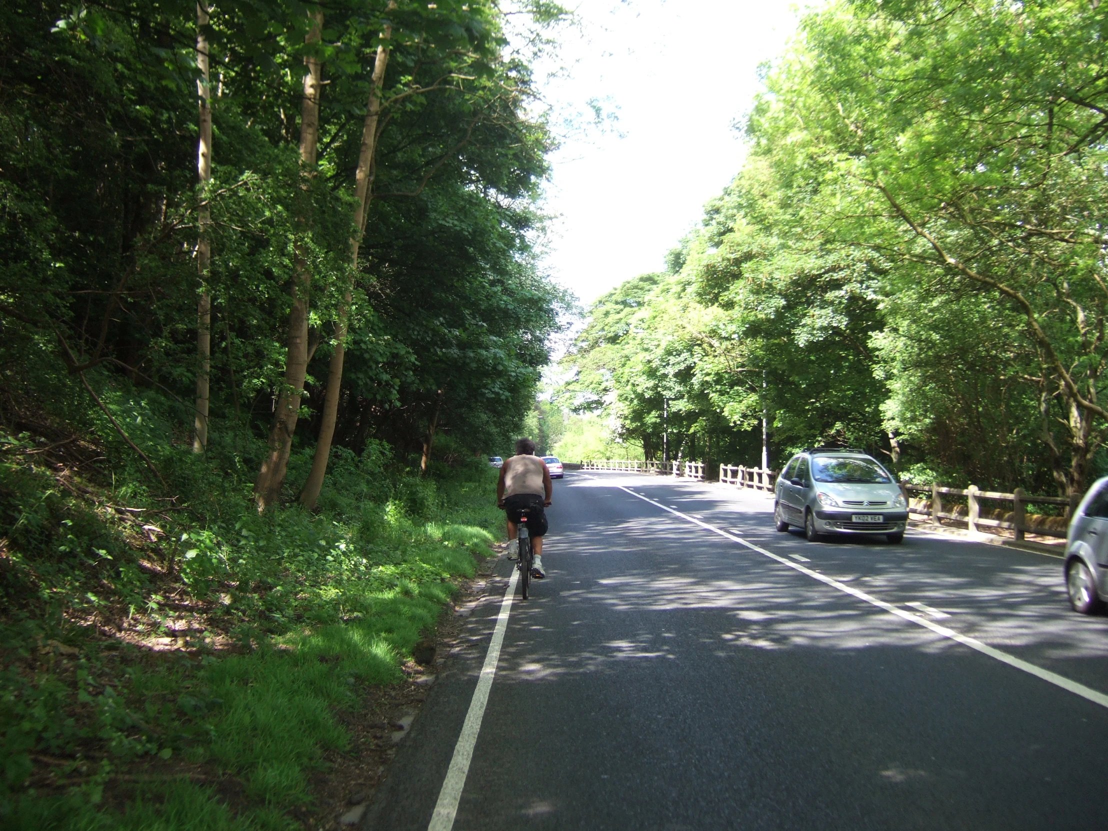 a man on a bicycle going through an avenue