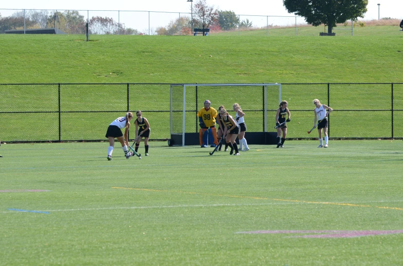 there are several soccer players playing a game