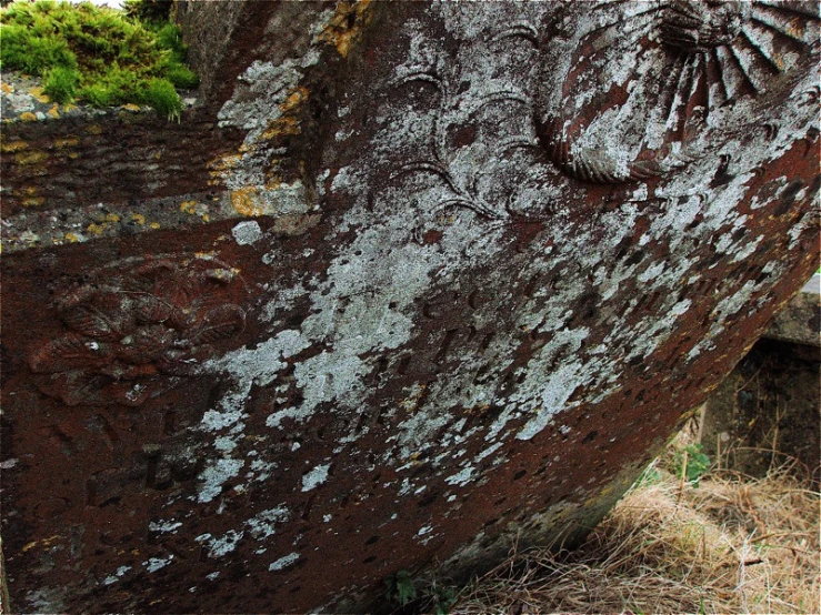 a weathered out building is covered in moss