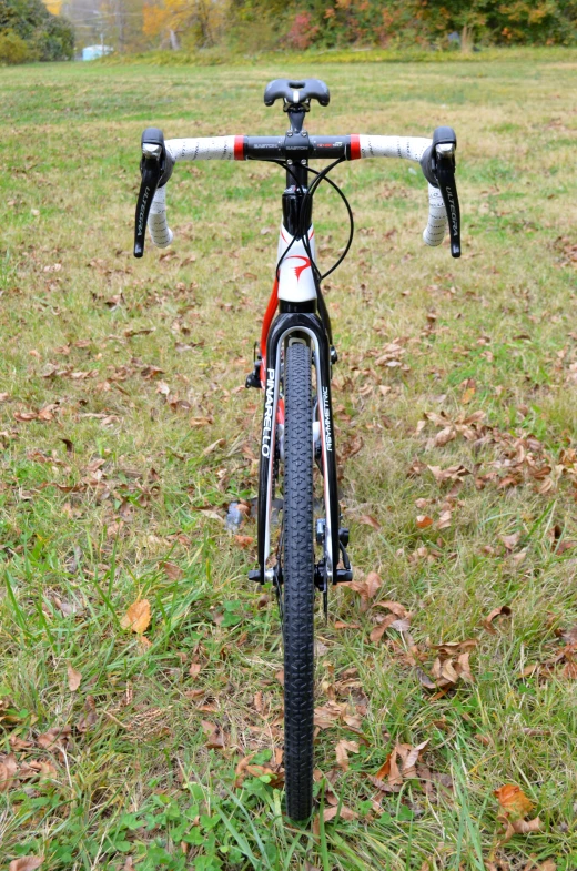 a bicycle parked in the grass with fall leaves