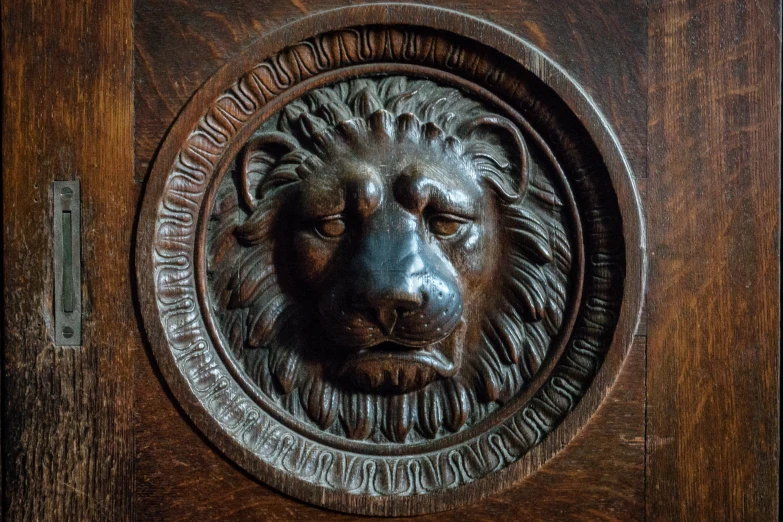 an image of a lion head in a round