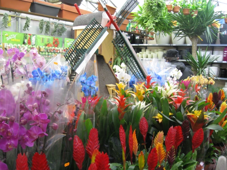 a collection of colorful flowers with a windmill in the background