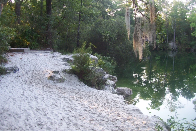 the pond in the park looks very peaceful