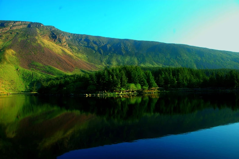 a lake near a wooded mountain side in the daytime