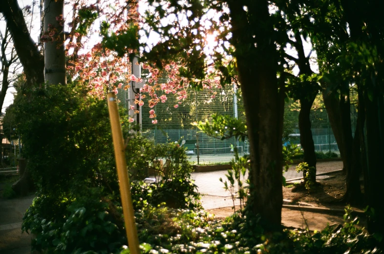 a tennis court surrounded by trees and shrubs