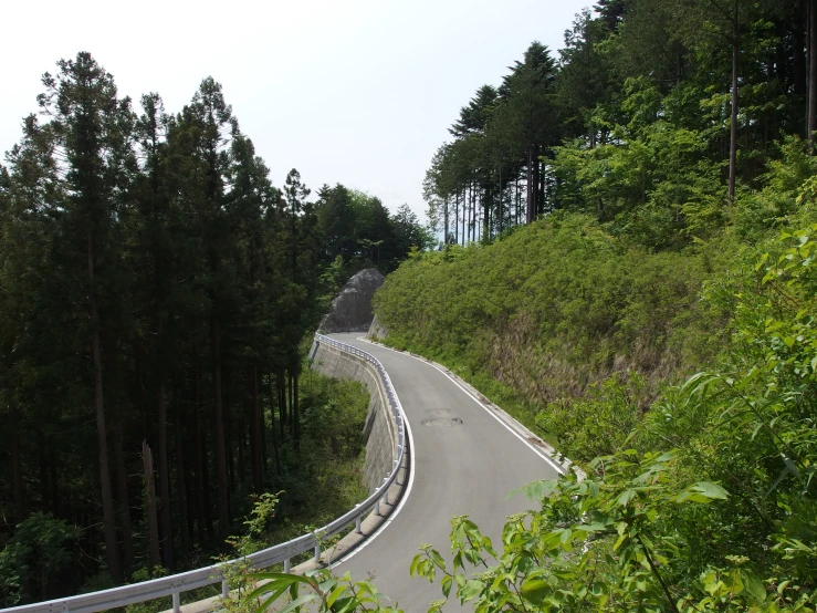 a curve in the road near some trees