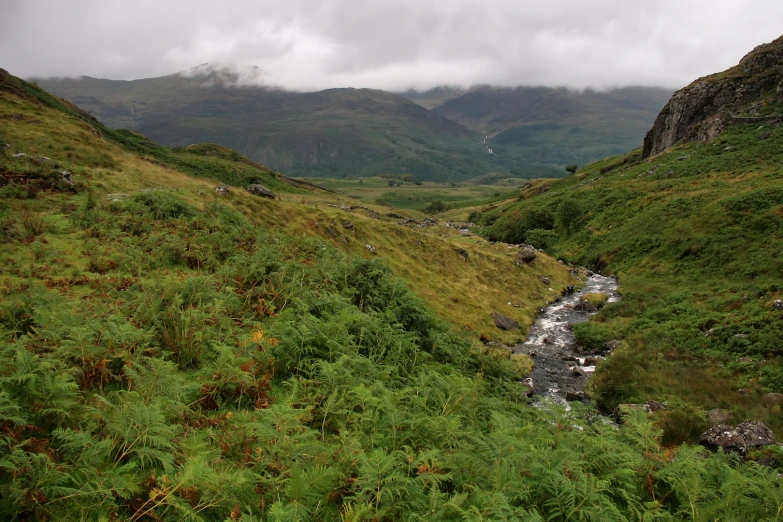 a narrow stream running between the mountains