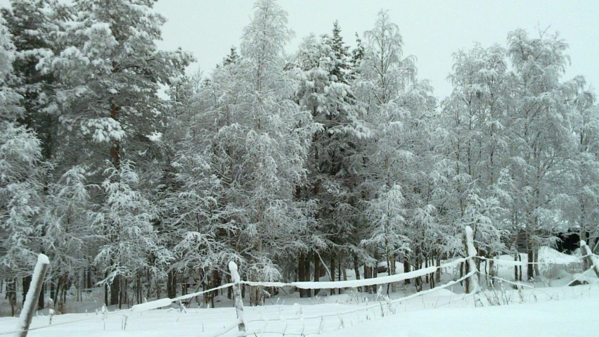 a field with trees covered in snow near a wooden fence