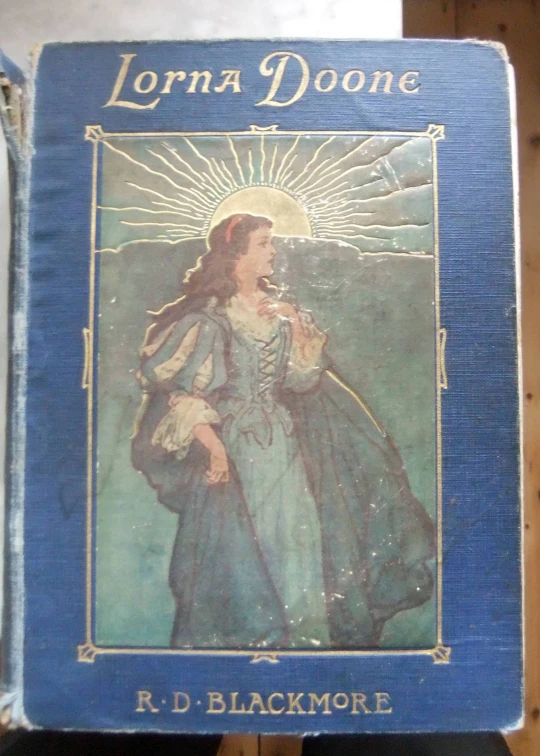 a blue and white book with an image of the image