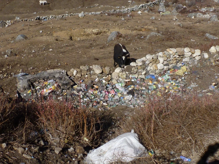 a person sitting in a large field filled with trash