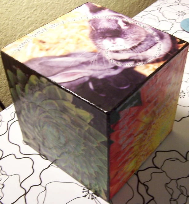 a square paper box with a black cat design on it