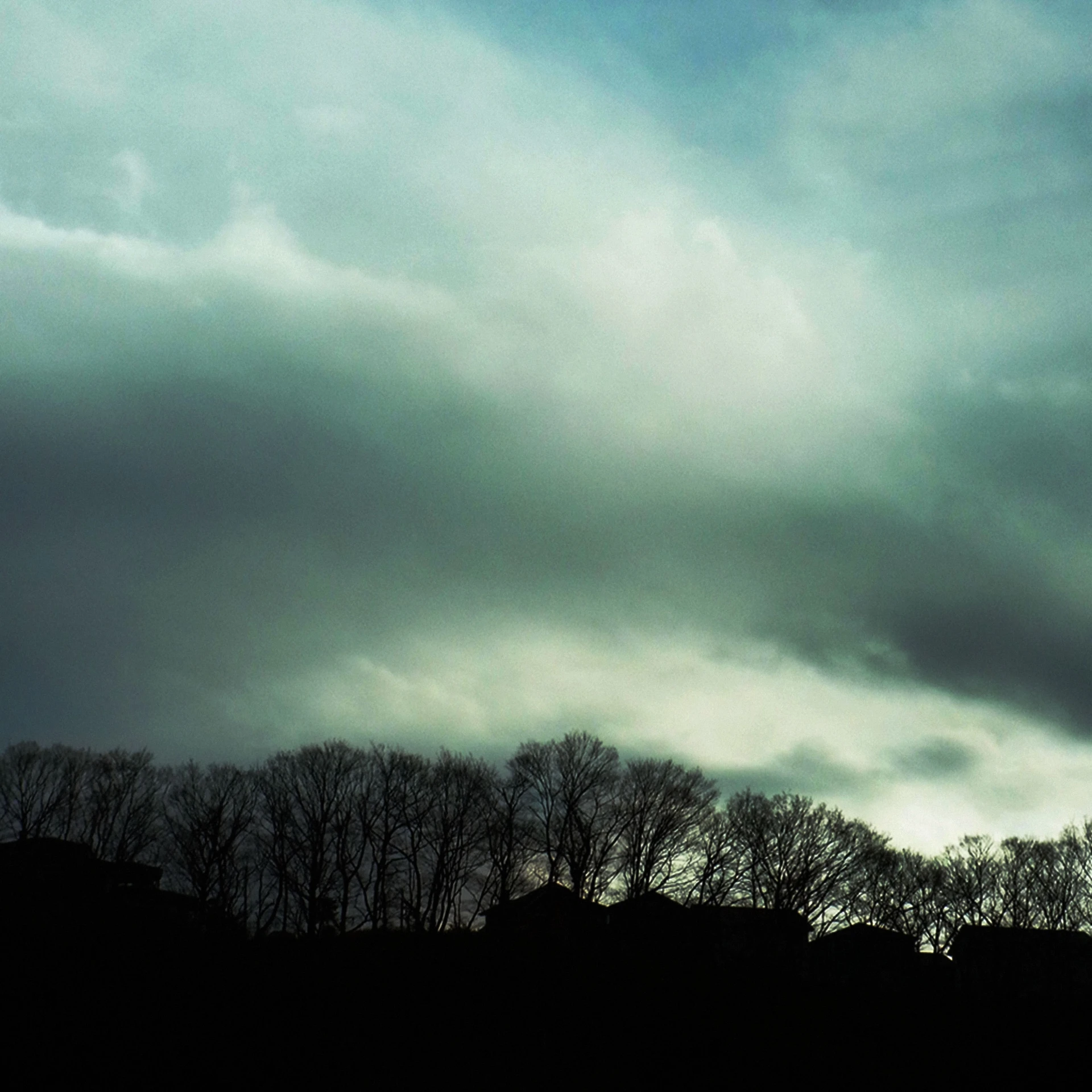 the trees against the sky and the clouds are gray