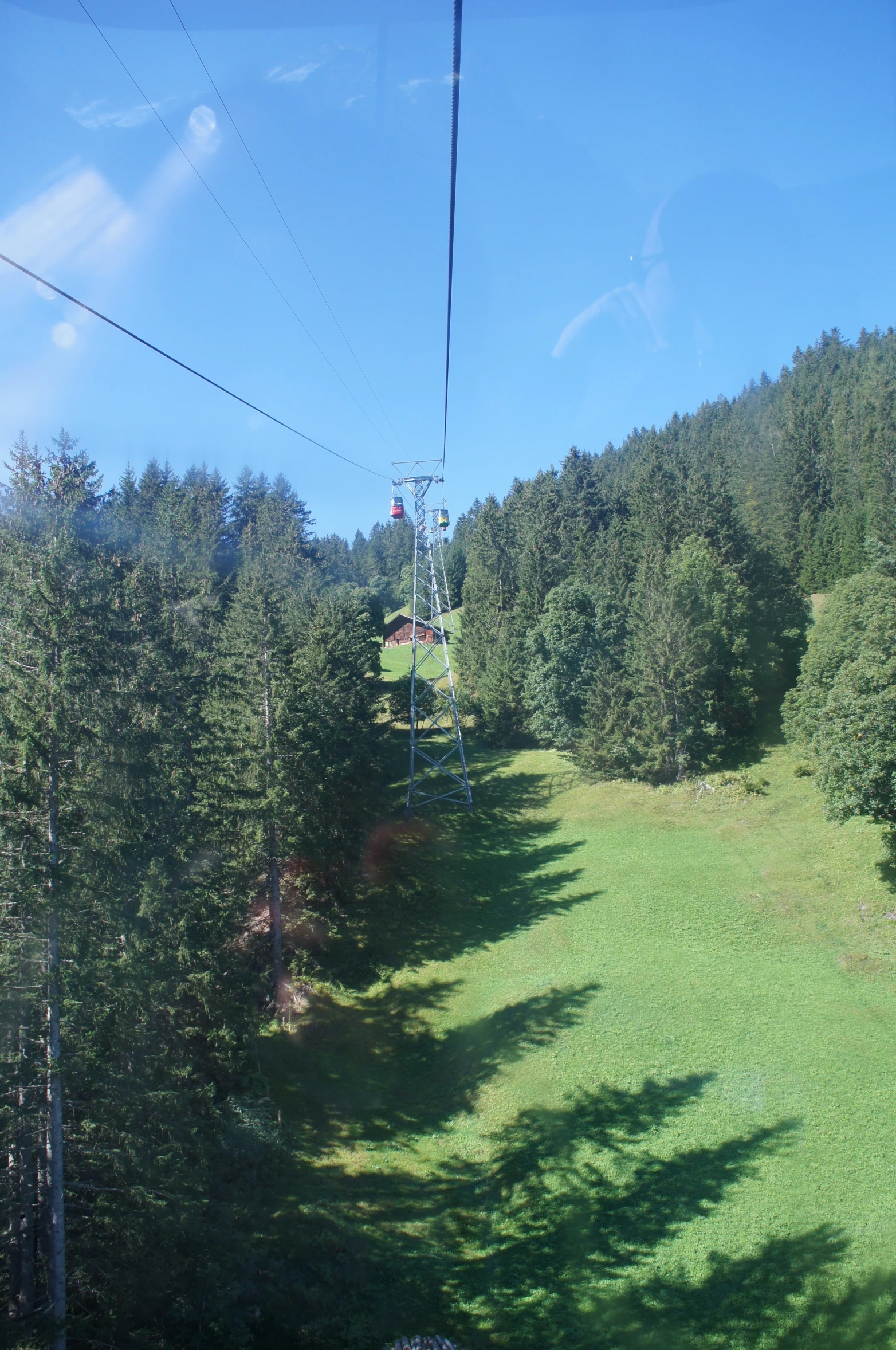 an overhead s of an electric train in the middle of some trees