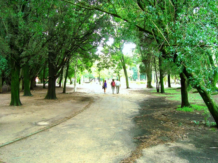 people walking down a trail through a park under trees