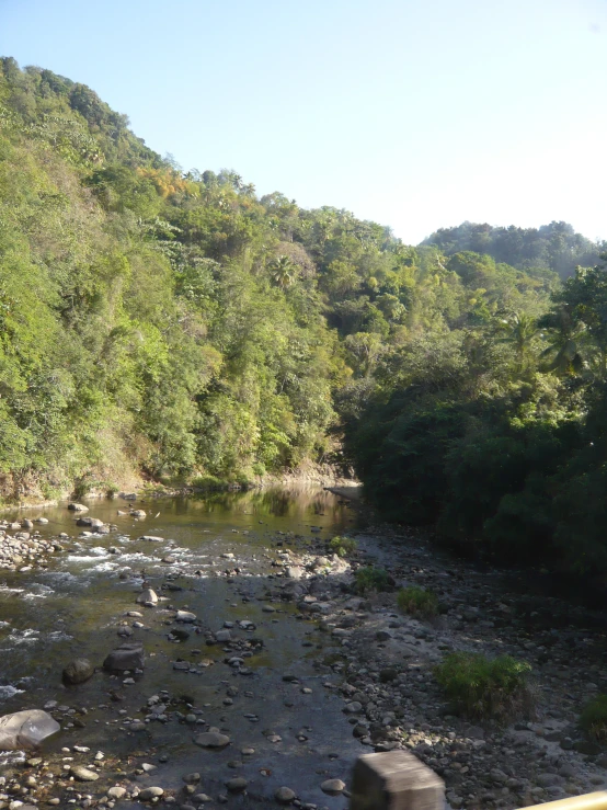 a wide body of water surrounded by trees