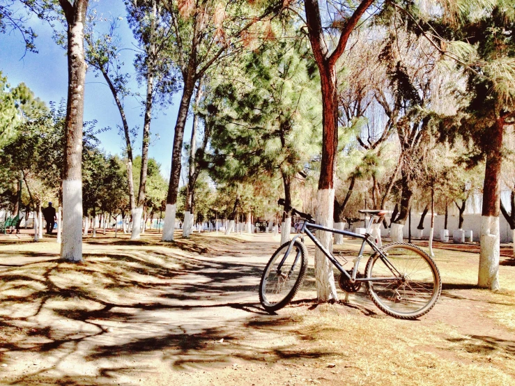 a bike is sitting alone in the park near trees