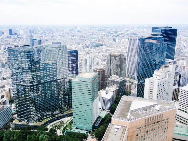 tall buildings stand in front of a large city skyline