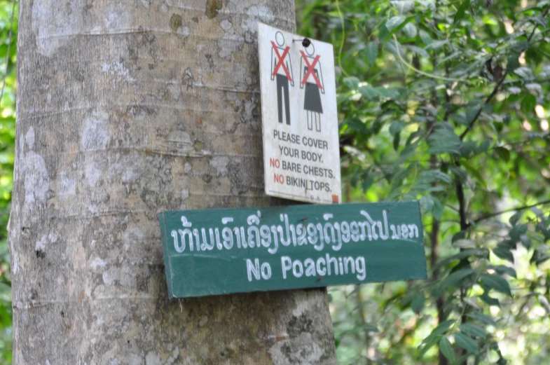 there is a no poaching sign hanging on a tree