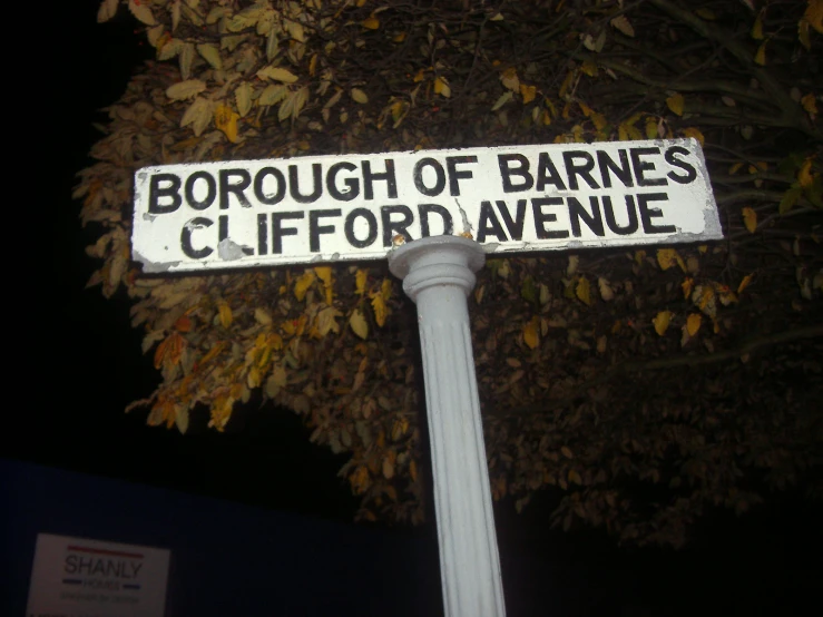 a street sign in front of a tree on a dark night