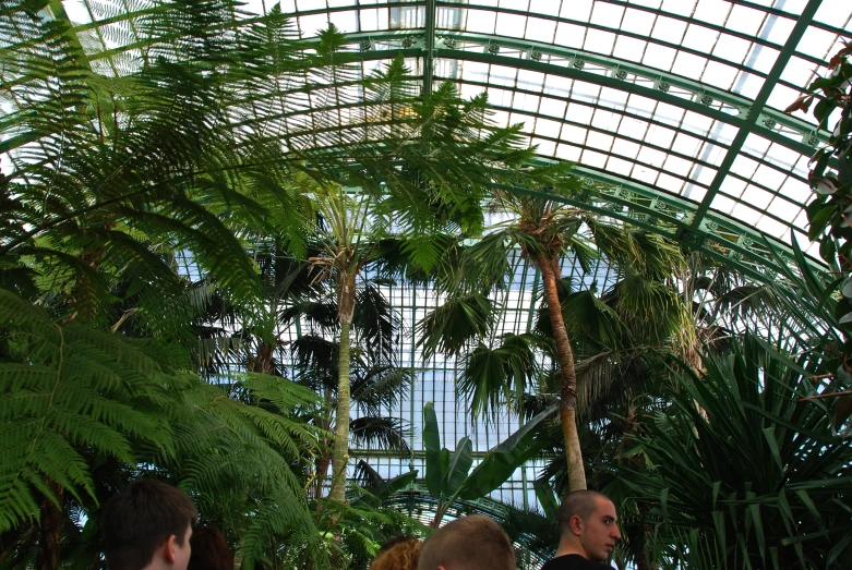 a group of people siting next to some plants