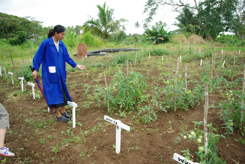 a person in blue stands next to some fruit and plants