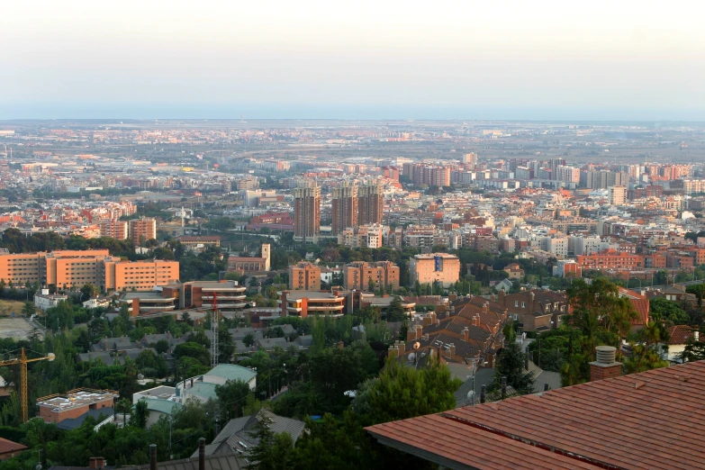 a large city with many tall buildings and a bird flying high up