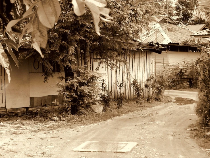 a dirt road leads to an old farm house