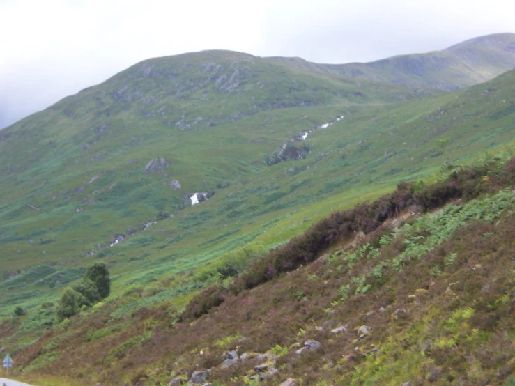 a mountain side with the grass blowing in wind