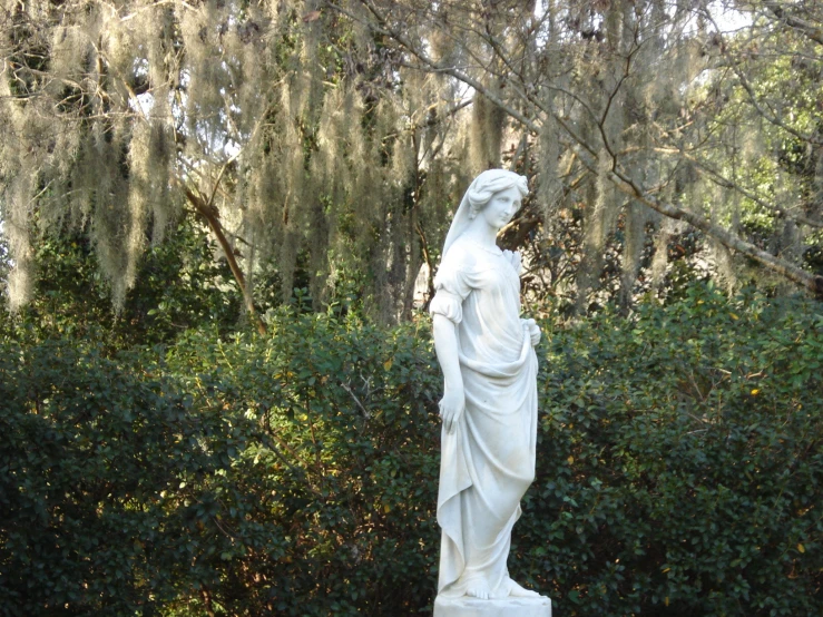 a statue is shown in front of some trees