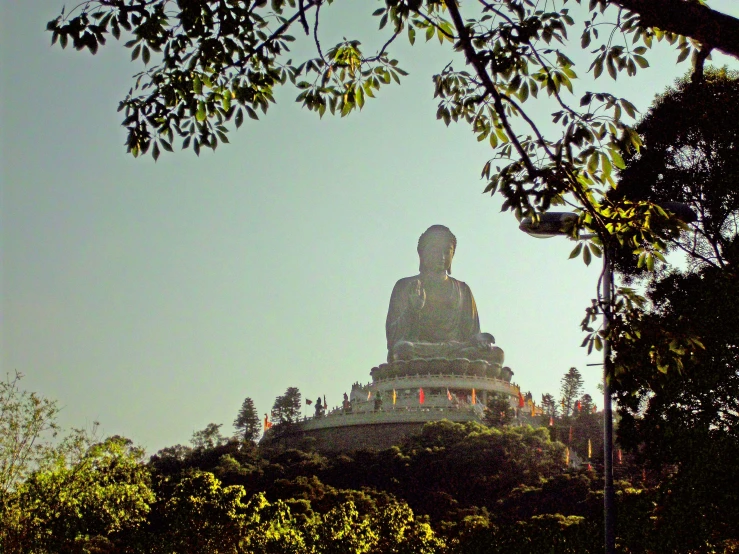 the buddha statue is in front of some trees