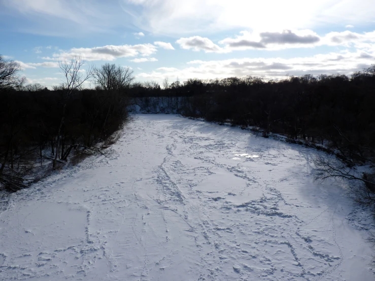 snow on the ground and trees line the path