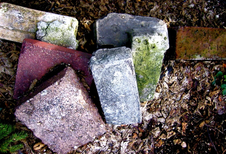 an arrangement of three pieces of rock in the forest