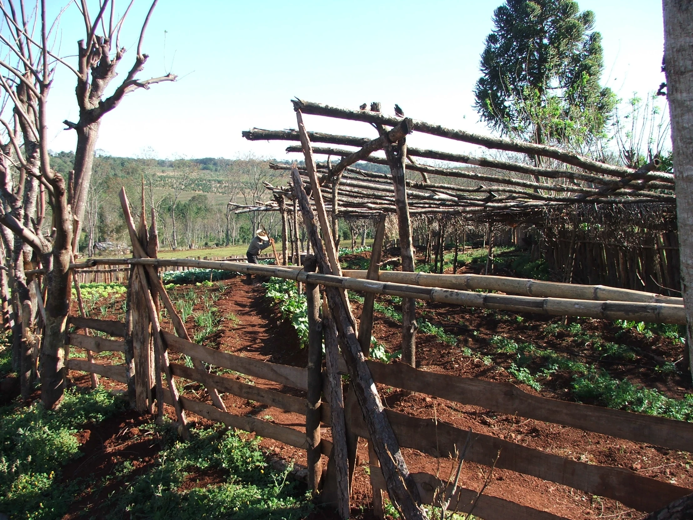 a wooden fence with several wooden poles on it