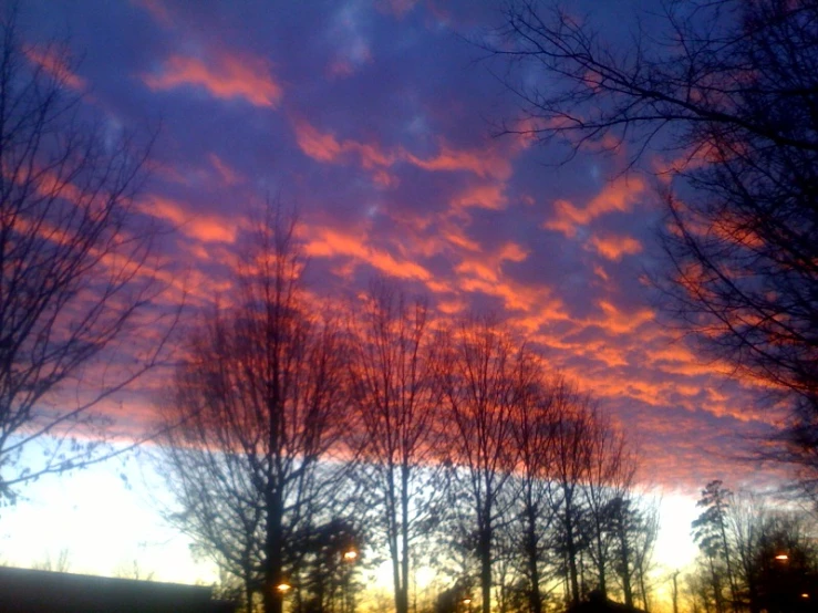 there are some trees outside at sunset