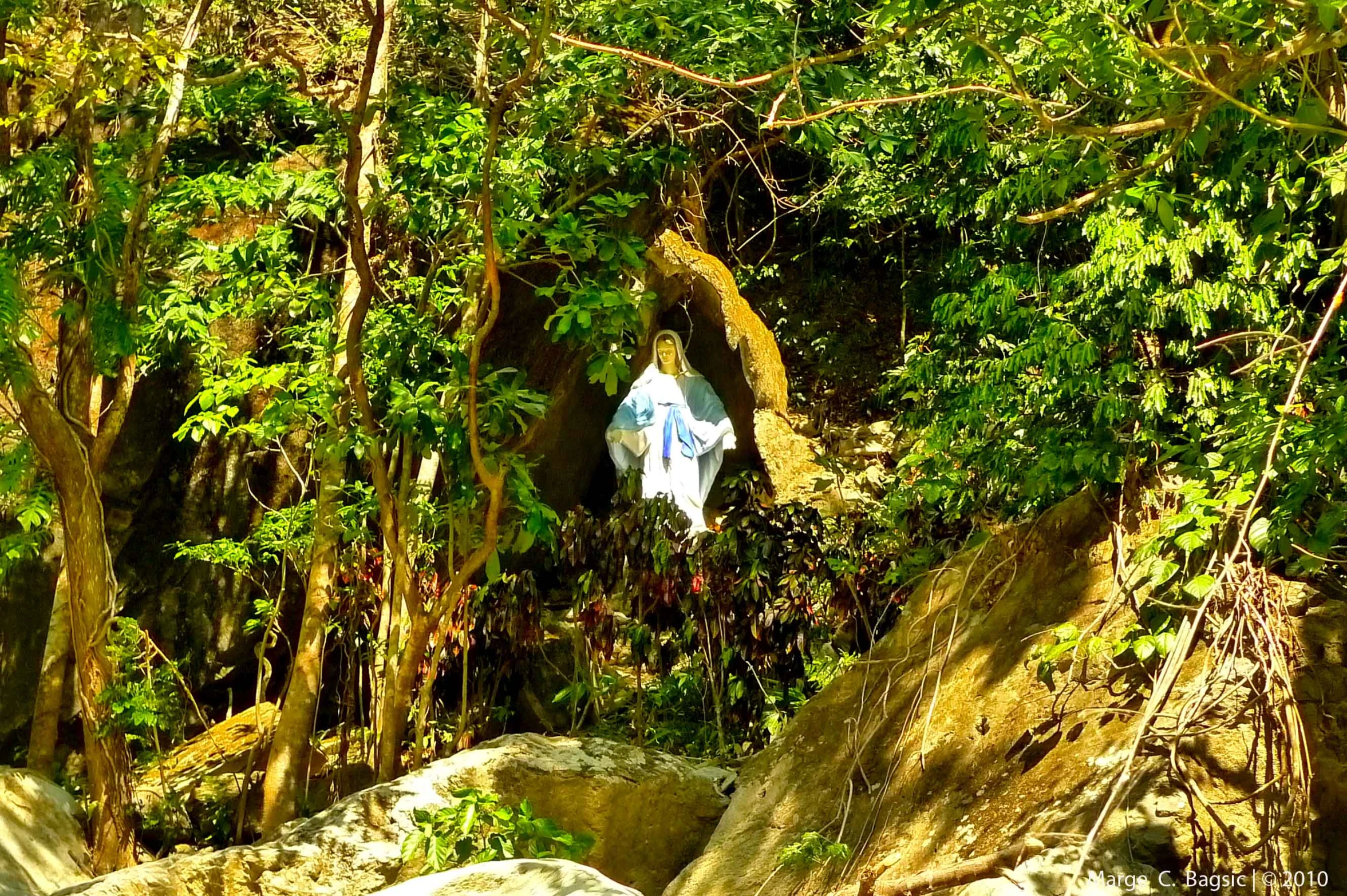 trees, rocks, and t - shirt hanging on them