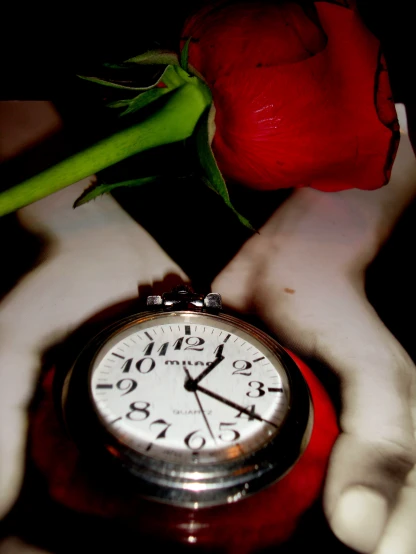 a red flower sitting on a table near a clock