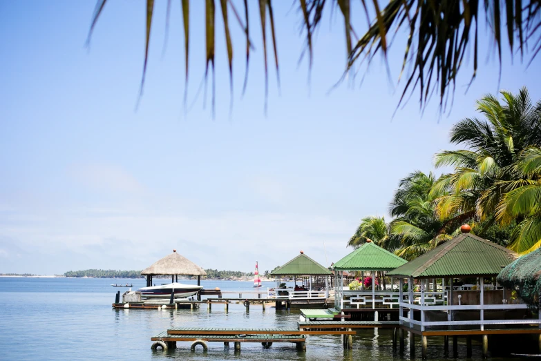 boats docked in a lake with palm trees