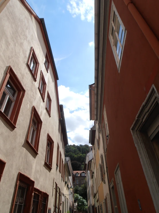 looking up at windows in an alley with trees and buildings